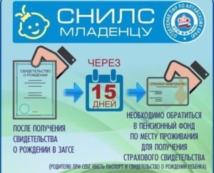 Список документов для получения снилс новорожденному ребенку
