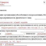 Справка о заработной плате: образец и правила оформления