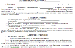 Срочный трудовой договор образец бланк