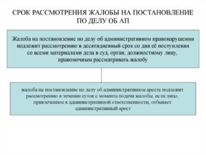 Срок рассмотрения заявления