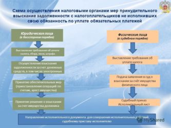 Срок взыскания налоговой задолженности физических лиц