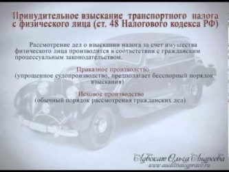 Срок взыскания транспортного налога с физических лиц
