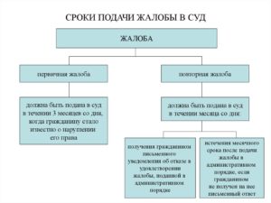 Сроки подачи заявлений