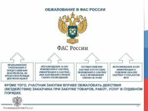 Сроки подачи жалобы в фас по земельным торгам
