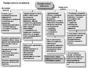 Сроки выплаты алиментов в беларуси