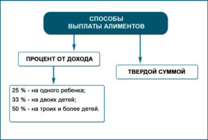 Сроки выплаты алиментов в беларуси