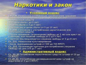Ст 228 ук рф наказание срок за употребление