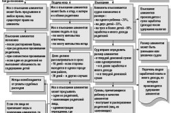 Статья 83 семейного кодекса рф или алименты в твердой форме