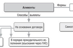 Статья 83 семейного кодекса рф или алименты в твердой форме