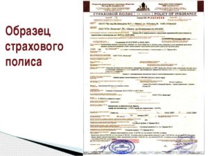 Страховой договор образец бланк