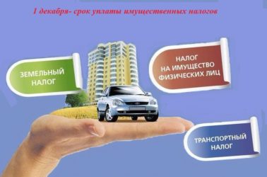 Транспортный налог налог на имущество индивидуального предпринимателя