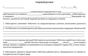 Трудовой договор ИП с работником бланк