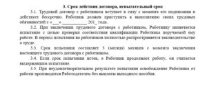 Трудовой договор на испытательный срок образец бланк