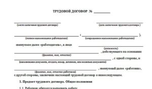 Трудовой договор с кассиром образец бланк