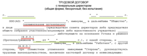 Трудовой договор с заместителем генерального директора ооо образец бланк