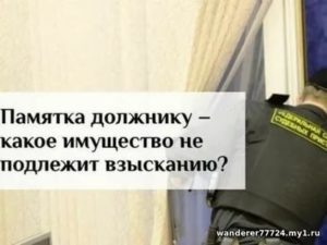 У меня собака на цепи имеют ли право судебные приставы бить ее чтобы пройти в квартиру
