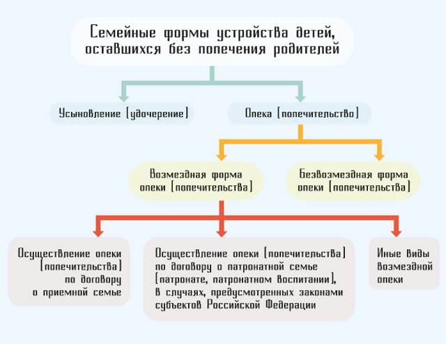 Условия усыновления, которые устанавливаются органами опеки