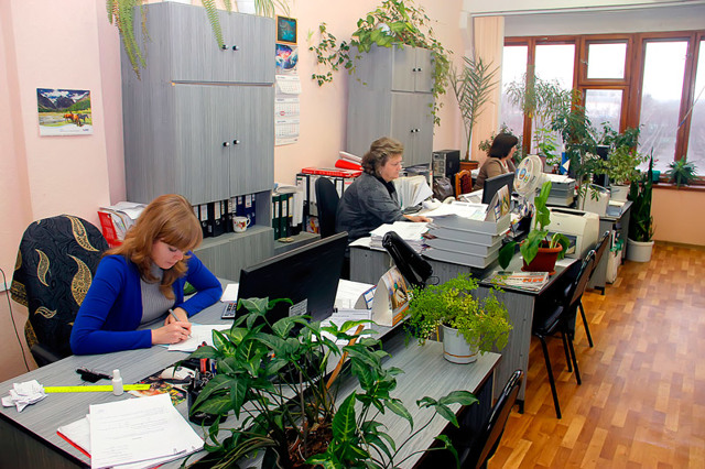 Увольнение по собственному желанию: порядок, статья тк рф