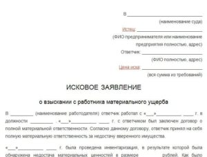 В какой суд подавать заявление на индивидуального предпринимателя
