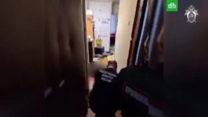 В покушении на убийство ребенка и его матери