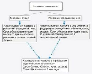 В Течение Какого Времени Можно Обжаловать Приговор