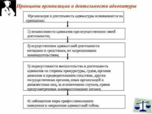 В задачи адвокатуры не входит проведение предварительного расследования
