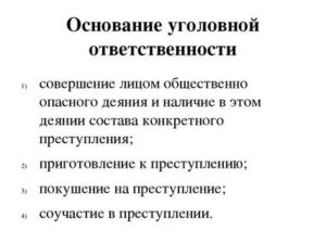 Виды и основания уголовной ответственности за экономические преступления
