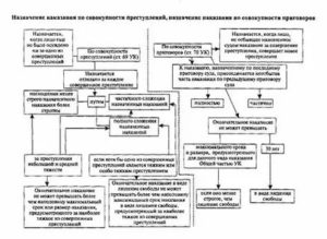 Виды и порядок назначения наказания за уголовное преступление