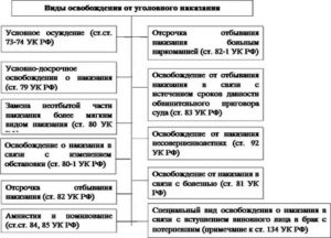 Виды освобождения от наказания специальный вид от