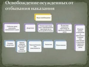 Виды освобождения от отбывания наказания порядок осужденных