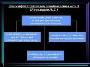 Виды освобождения от уголовного наказания и их классификация