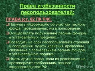 Виды прав на земли лесного фонда