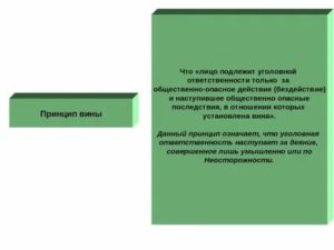 Вина как основание ответственности за уголовное преступление и наказание