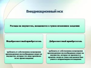 Виндикационный иск образец бланк