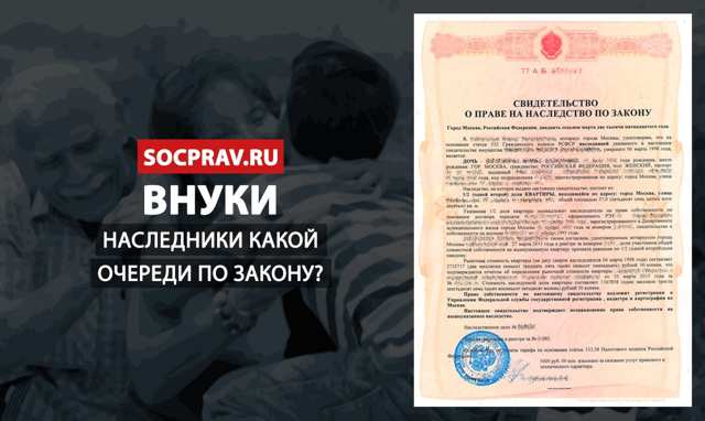 Внуки наследники какой очереди по закону и по завещанию