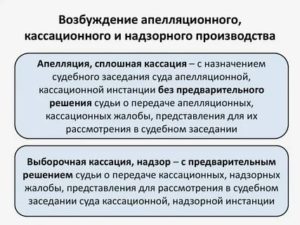 Возбуждение производства в суде надзорной инстанции основные этапы