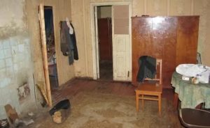 Возбуждение уголовного дела об убийстве совершенном с особой жестокостью