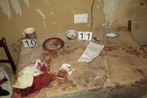 Возбуждение уголовного дела об убийстве совершенном с особой жестокостью