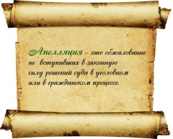 Возражение на апелляционную жалобу по уголовному делу: образец