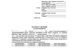 Возражение на исковое заявлениео признании совместно нажитого имущества и разделе супругов образец