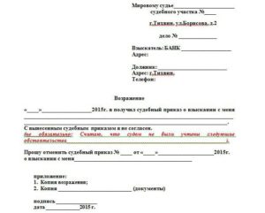 Возражение на решение мирового судьи образец