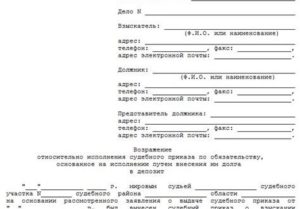 Возражение на решение мирового судьи образец