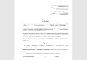 Возражения на ходатайство о проведении повторной экспертизы