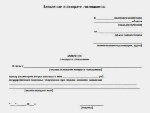 Возврат госпошлины при отказе от иска