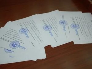 Временная Путевка в Детский Сад Что Это
