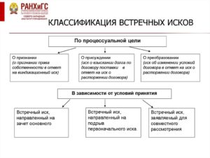 Встречный иск в гражданском процессе ГПК РФ