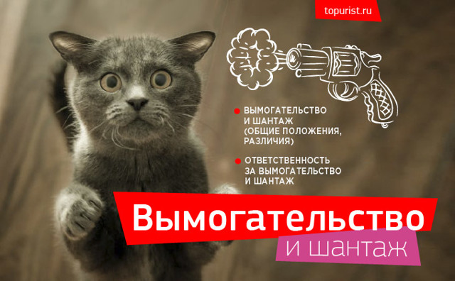 Вымогательство и шантаж: статья ук рф, наказание, что делать