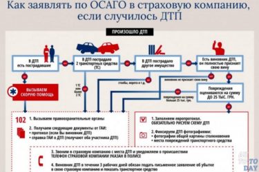 Выплачивают ли страховку виновнику ДТП по ОСАГО?