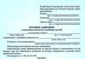 Взыскание алиментов с момента обращения в суд