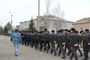 За Что Сажают в Исправительную Колонию